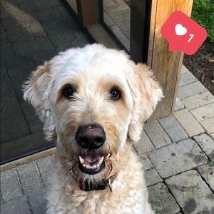 Meet your Posher, Zach